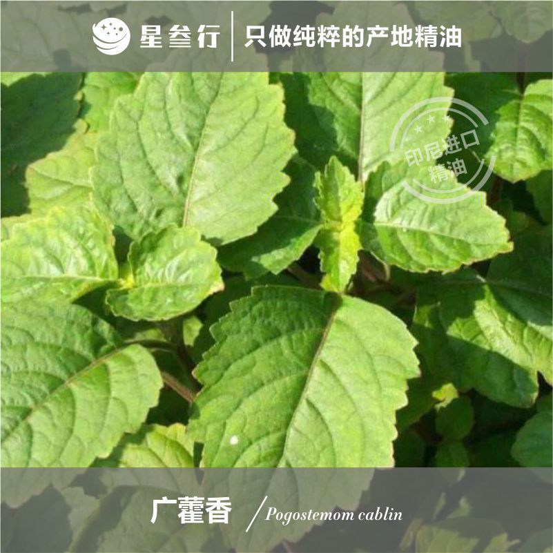 668ca6d94c9dd_O1CN01g00VuV1yASMcPSKzv_2214624976538-0-cib.jpg