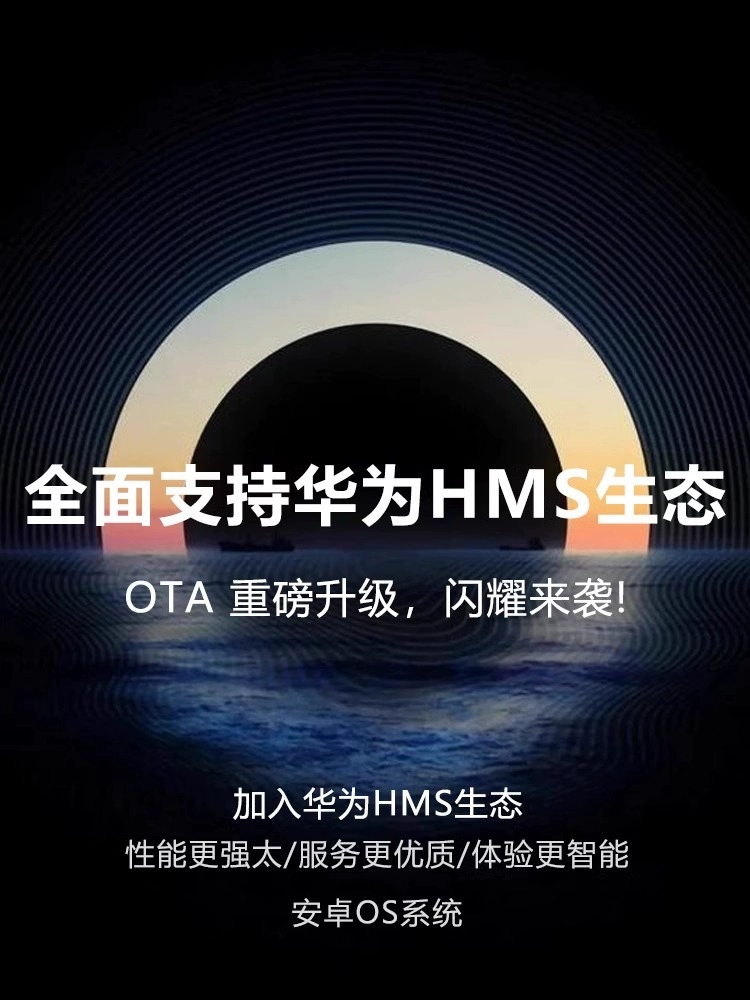 66ff5a1d99181_O1CN01IDu4j32LY21LANB79_3937219703-0-C2M.webp
